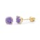 The World 14k REAL Yellow Gold 5mm Round February Birthstone Color Solitaire Basket Set Stud Earrings with Screw Back