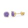 The World 14k REAL Yellow Gold 5mm Round February Birthstone Color Solitaire Basket Set Stud Earrings with Screw Back