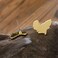 DAMLENG Chic Stainless Steel African Map Studs Earrings Hypoallergenic Gold Silver Traditional Ethnic Post Stud for Women Girls Statement Jewelry Gifts Gold