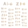PAVOI 14K Rose Gold Plated 925 Sterling Silver CZ Alphabet Letter Earrings Initial Earrings for Women Letter B