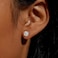 HUASAI Silver Stud Earrings Set Cartilage Stud Earrings Hypoallergenic Cubic Zirconia Titanium Stainless Steel 3mm8mm CZ Stud Earrings for Women