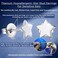 VGACETI Titanium Earrings Hypoallergenic Stud Earrings Star for Sensitive Ears Women Men Premium High Polished Shiny Grey Star