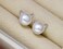 Wicary Cat Earrings Sterling Silver Pearl Earrings for Women Studs Cat Lovers Jewelry for Women
