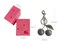 hxusin Cherry Keychain for Women Cute Cherry Bag Charm Purse Charms for Handbag Durable Fruit Keychain Accessories Silvery