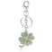 Liavy's Liavys Green Irish 4 Leaf Clover Charm Fashionable Keychain Sparkling Crystal Unique Gift and Souvenir