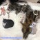 Ohjijinn 8Pcs Cat Keychain Cute Cat Meme Keychains Two Cats Talking Keyring Kawaii Charm Funny Keychain