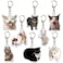 Ohjijinn 8Pcs Cat Keychain Cute Cat Meme Keychains Two Cats Talking Keyring Kawaii Charm Funny Keychain