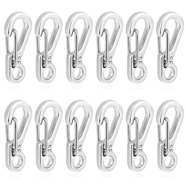 KALIONE 12 Pcs Tiny Carabiner Clip Metal Small Spring Snap Hooks 1 inch Key Chain Clip Hooks Metal Swivel Clasps Lanyard Snap Hook Carabiners for Backpack Keychains AccessoriesSilver