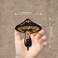 AHANDMAKER 2 Sets Wooden Mushroom Wall Hooks Key Holder Wall Mounted Mushroom Decor Hanger for Room Keys Home Decor