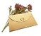 Baydurcan Bar Necklace Simple Pendant Chain Necklace with Message Card Gift Card