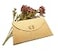 Baydurcan Pineapple Necklace Pineapple Pendant Chain Necklace with Message Card Gift Card