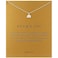 LANG XUAN Good Luck Elephant Pendant Friendship Chain Necklace with Meaning Card for Women Silver Gift
