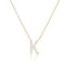 PAVOI 14K Yellow Gold Plated Cubic Zirconia Initial Necklace Letter Necklaces for Women K Initial