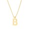 PAVOI 14K Yellow Gold Plated Initial Necklace Letter Necklaces for Women B Initial
