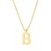 PAVOI 14K Yellow Gold Plated Initial Necklace Letter Necklaces for Women B Initial