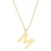 PAVOI 14K Yellow Gold Plated Initial Necklace Letter Necklaces for Women M Initial