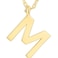 PAVOI 14K Yellow Gold Plated Initial Necklace Letter Necklaces for Women M Initial