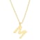 PAVOI 14K Yellow Gold Plated Initial Necklace Letter Necklaces for Women M Initial