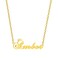 SKQIR Gold Custom Women Name Necklace Personalized Customized Chains Name Pendants Necklaces Personalized Name Necklace with Crown for Women Girl GiftAmber Necklace
