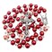Nazareth Store Pearl Beads Rosary White Flowers Beaded Necklace Lourdes Medal Cross Crucifix Red