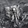KIRTIJW Skull Rings for Men Stainless Steel Gothic Punk Biker DeathsHead Hawkmoth Rings Jewelry for Men Size 10
