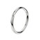 FANSING G23 Titanium Hinged Piercing Rings Hoop Silver 16 Gauge 10mm