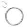 FANSING G23 Titanium Hinged Piercing Rings Hoop Silver 16 Gauge 10mm
