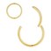 ORANGELOVE Gold Nose Rings 16g Hoop Clicker Seamless Septum Ring Cartilage Helix Tragus Daith Rook Earrings