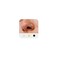 MODRSA Double Hoop Nose Ring Silver Surgical Steel 316L 20g 8mm