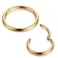 NewZenro 8Pcs Stainless Steel 16G Sleeper Tiny Small Hoop Earrings Hinged Clicker Ring for Women Men Jewelry 8mm 10mm Set Goldtone