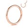 PEAKLINK G23 Titanium Hinged Segment Clicker Nose Ring Hoop Cartilage Earrings Body Piercing Helix Counch Jewelry