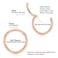 PEAKLINK G23 Titanium Hinged Segment Clicker Nose Ring Hoop Cartilage Earrings Body Piercing Helix Counch Jewelry