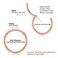 PEAKLINK G23 Titanium Hinged Segment Clicker Nose Ring Hoop Cartilage Earrings Body Piercing Helix Counch Jewelry
