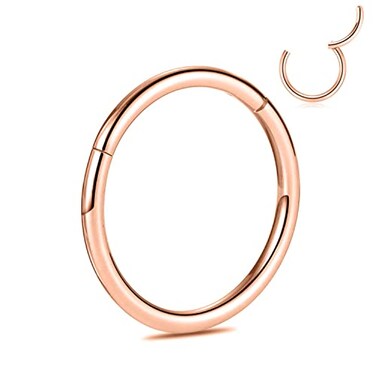 PEAKLINK G23 Titanium Hinged Segment Clicker Nose Ring Hoop Cartilage Earrings Body Piercing Helix Counch Jewelry