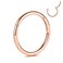 PEAKLINK G23 Titanium Hinged Segment Clicker Nose Ring Hoop Cartilage Earrings Body Piercing Helix Counch Jewelry