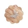 Aimimier Crystal Butterfly Ring Cubic Zirconia Open Adjustable BowKnot Knuckle Ring Sparkling Festival Prom Butterfly Jewelry for Women Silver