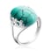 DALEGEM Natural Blue Oval Turquoise Stone Ring for WomenS925 Sterling Silver Real Genuine Quartz Gemstone Turkey Ring Jewelry StoneA 9