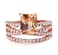 Greendou Fashion Jewelry 14k Rose Gold Plated Sterling Silver Square Champagne Zirconia Ring Size 510 6