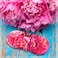 MyEyeglassCase Floral Hard eyeglass case Glasses Case Hard Shell with Microfiber Drawstring Pouch and Cleaning Cloth Protective Small to Medium frames for women AS166L Peonies