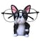 Sugarplus Puppy Dog Glasses Holder Stand Eyeglass Retainers Sunglasses Display Cute Animal Design Decoration Bulldog