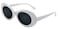 EHH Oval Round Retro Sunglasses Color Tint or Smoke Lenses White Smoke