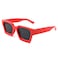 FEISEDY Retro 90s Square Sunglasses for Women Men Trendy Chunky Rectangle Sunglasses UV400 Protection B2385