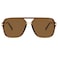 SOJOS Sunglasses SJ2229 Transparent Brown FrameBrown Lens