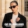 WOWSUN Narrow Small Vintage Polarized Cat Eye Sunglasses for Women