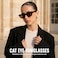 WOWSUN Narrow Small Vintage Polarized Cat Eye Sunglasses for Women