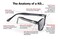 Pacific Coast Original KDs Biker Sunglasses Black FrameBlue Lens