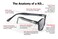 Pacific Coast Original KDs Biker Sunglasses Black FrameDark Green Lens