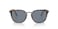 Persol Unisex PO3186S Round Sunglasses Dark Brown TortoiseBlue 53 mm