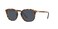 Persol Unisex PO3186S Round Sunglasses Dark Brown TortoiseBlue 53 mm