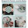 Minie Joo Baby Fruit Feeder Teether Set 3in1 Food Pacifier Breastmilk Popsicle Tray Adjustable Bib 3 Pacifier Sizes BPAFree Premium Quality